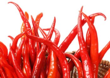 People who regularly eat chilli pepper live longer – Study Shows