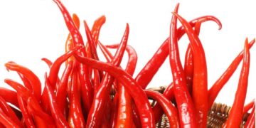 People who regularly eat chilli pepper live longer – Study Shows