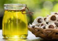 Benefits of Moringa oil for your skin and hair You Must Know