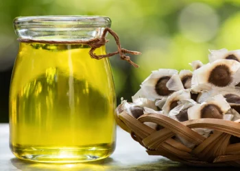 Benefits of Moringa oil for your skin and hair You Must Know