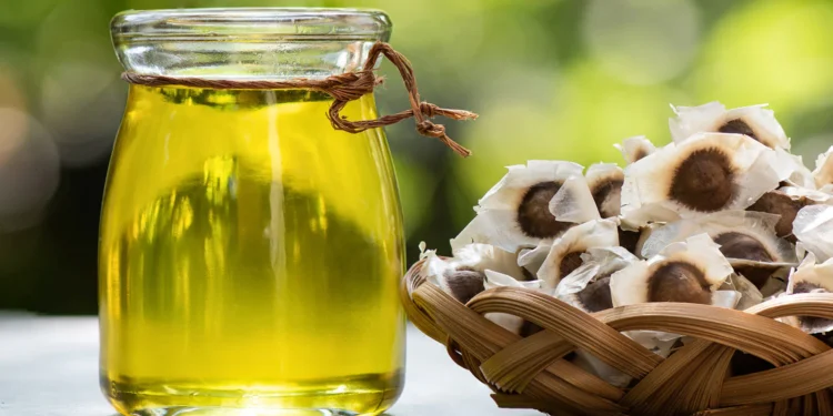 Benefits of Moringa oil for your skin and hair You Must Know