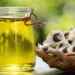 Benefits of Moringa oil for your skin and hair You Must Know